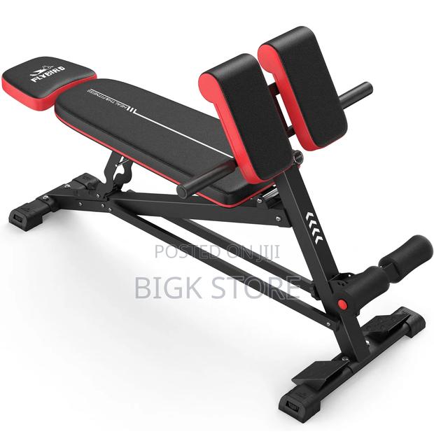 Adjustable Decline Sit-Up Bench With Leg Support - main view