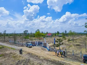 Plots for Sale in Juja Farm | Ready Title Deeds *Jw