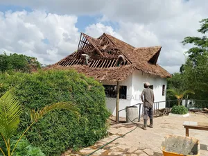 Makuti Roof, Expert in Roofing