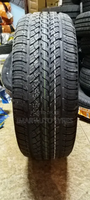 235/55r19 Winda