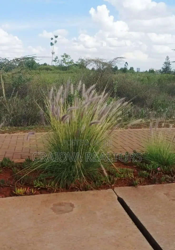 Kijani Plots at Tatu City