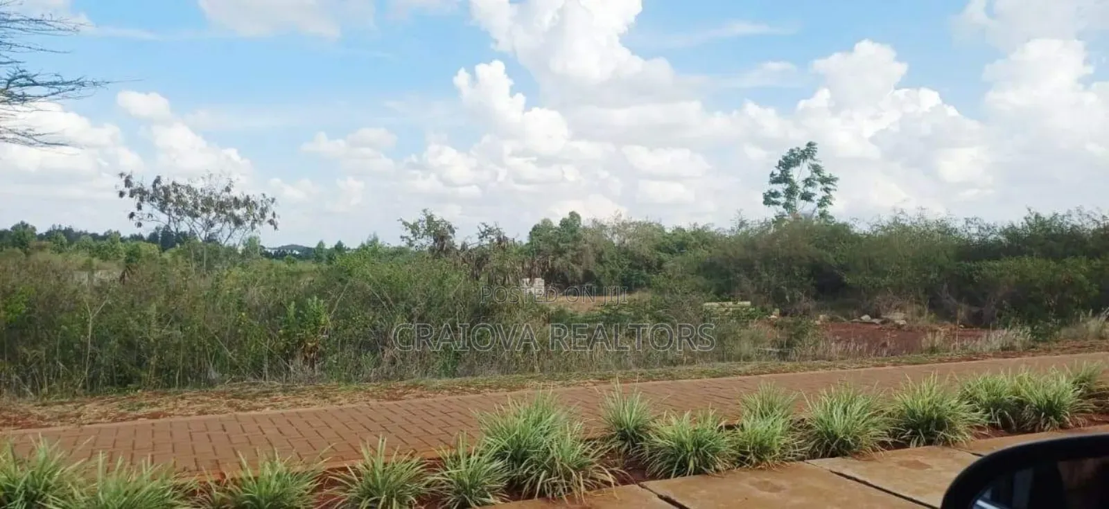 0.5 Acre Plots at Tatu City
