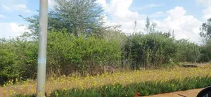 0.5 Acre Plots at Tatu City
