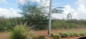 0.5 Acre Plots at Tatu City