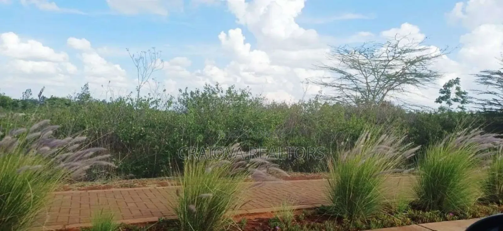 0.5 Acre Plots at Tatu City