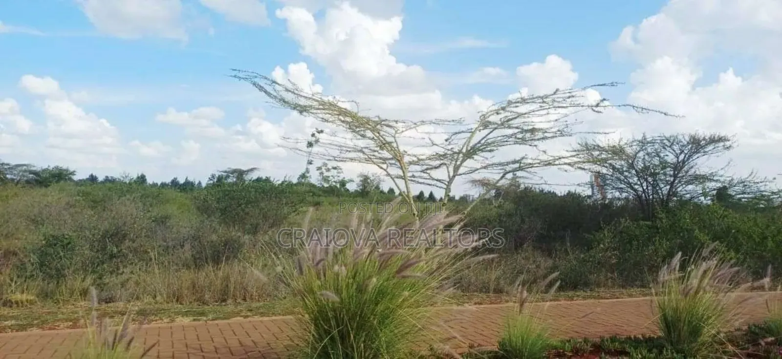 Kijani Plots at Tatu City