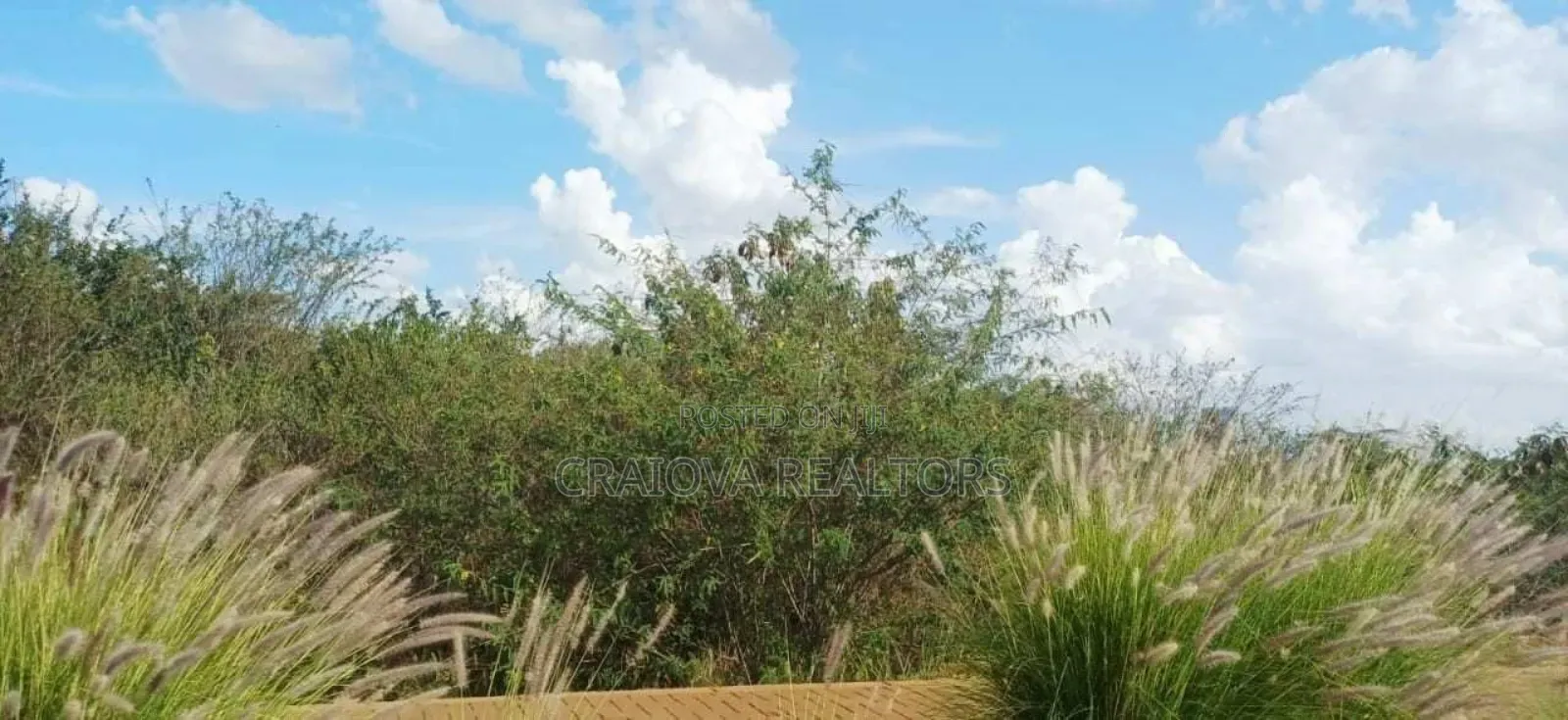 Kijani Plots at Tatu City