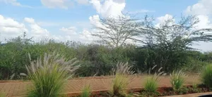 1acre Plots for Sale at Tatu City