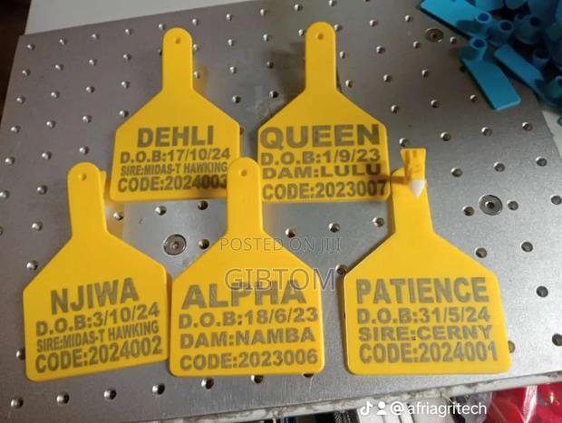 Cow Xl Z Shaped Eartags Customized