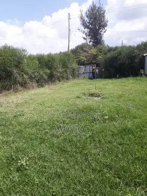 Plot Sale Isiolo