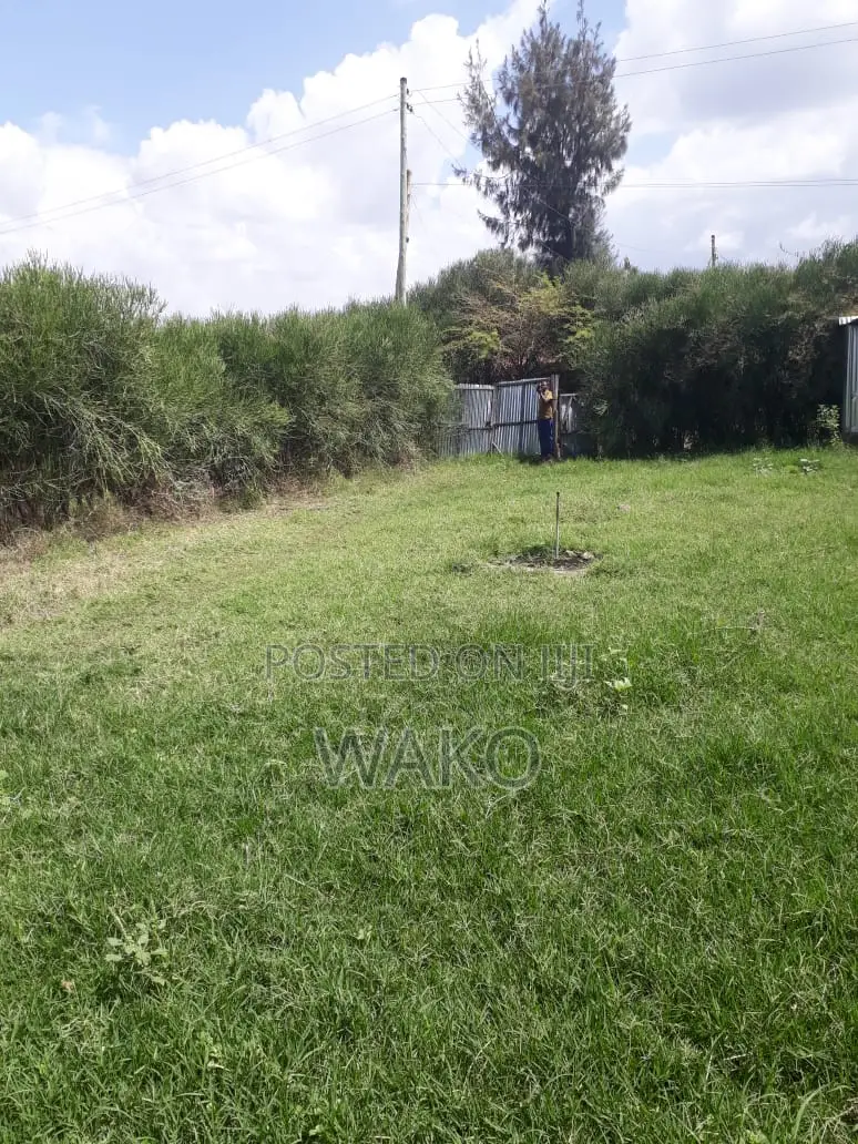 Plot Sale Isiolo