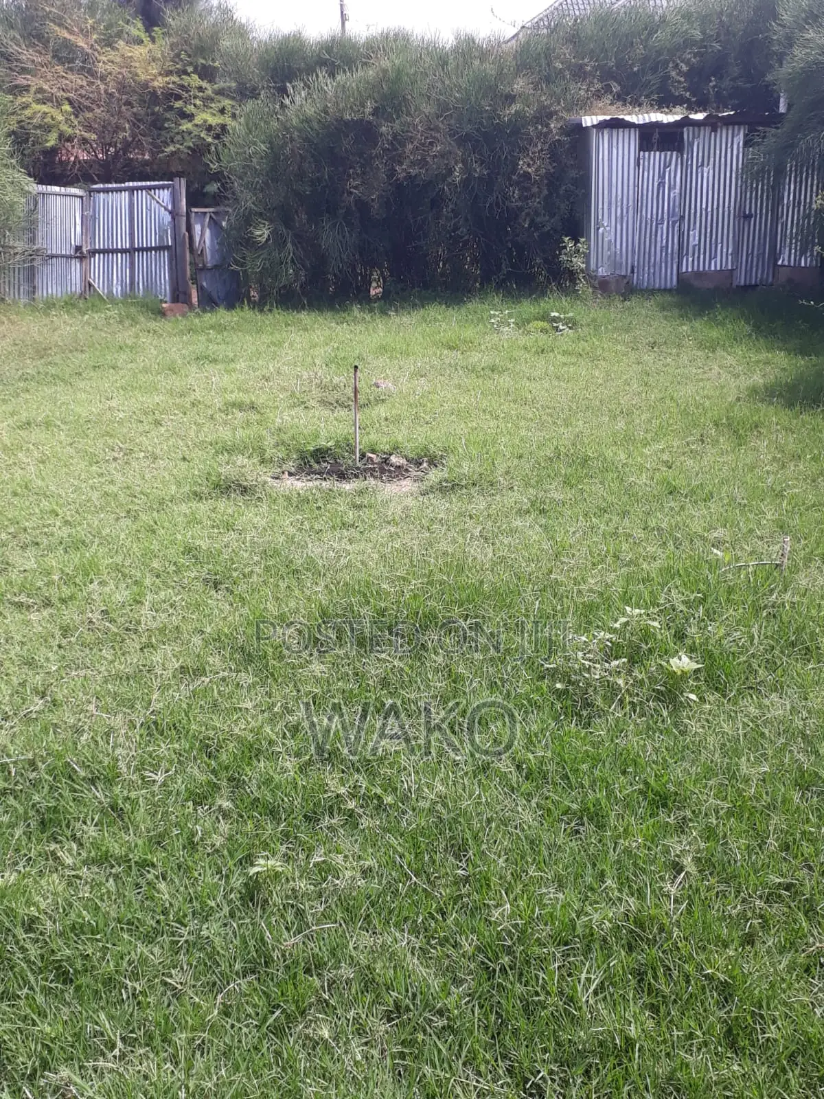 Plot Sale Isiolo