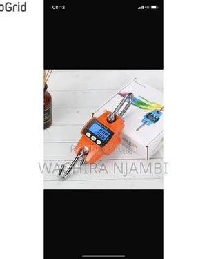 Heavy Duty 300kg Crane Scale - thumbnail 2
