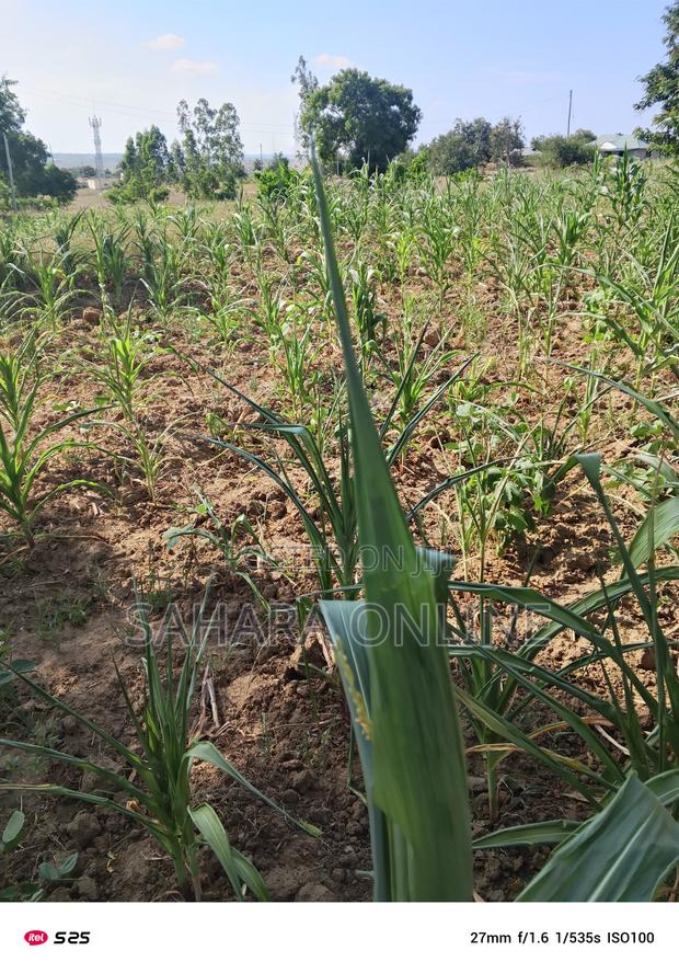 Plots for Sale