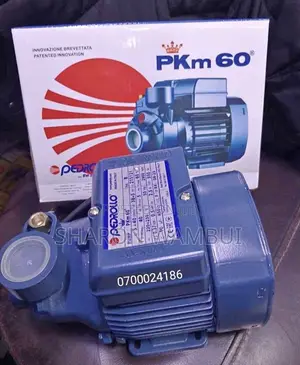 Pedrollo Water Pump Machine 0.5hp/ Electric Booster Pump Pedrollo