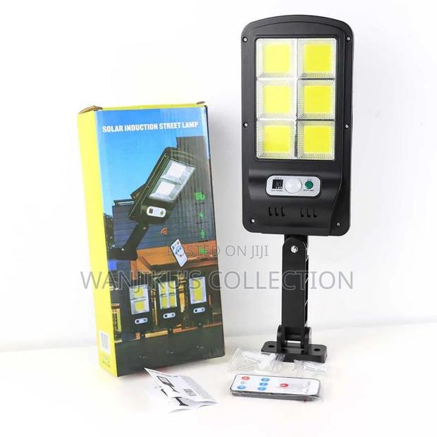 100 WTS Solar Light With Sensors - main view