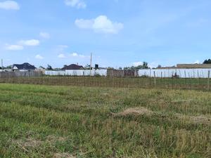 Eldoret Chemaluk Chepkanga Plots - thumbnail 2