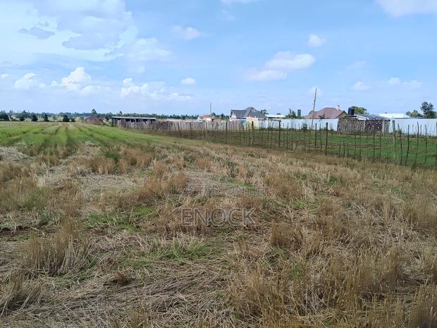 Eldoret Chemaluk Chepkanga Plots - thumbnail 4