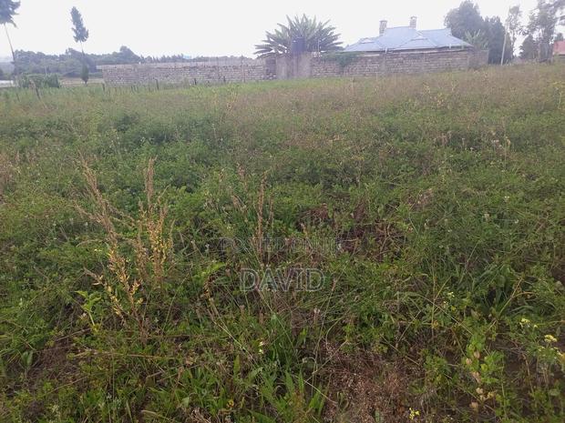 Plot for Sale in Egerton - thumbnail 3