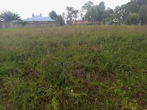 Plot for Sale in Egerton