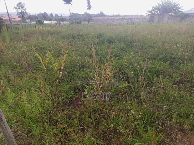 Plot for Sale in Egerton - thumbnail 7