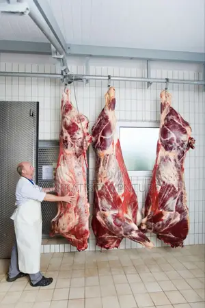 Walk in Coldrooms for Butchery, Groceries, Dairy, Flowers Company