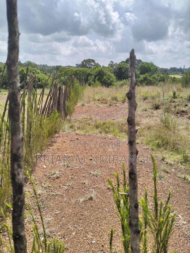 50 by 100 Prime Plot for Sale at Leshau - thumbnail 10