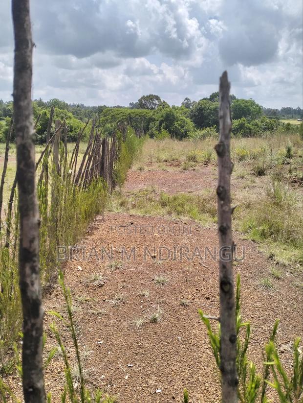 50 by 100 Prime Plot for Sale at Leshau - thumbnail 11