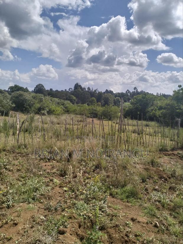 50 by 100 Prime Plot for Sale at Leshau - thumbnail 12