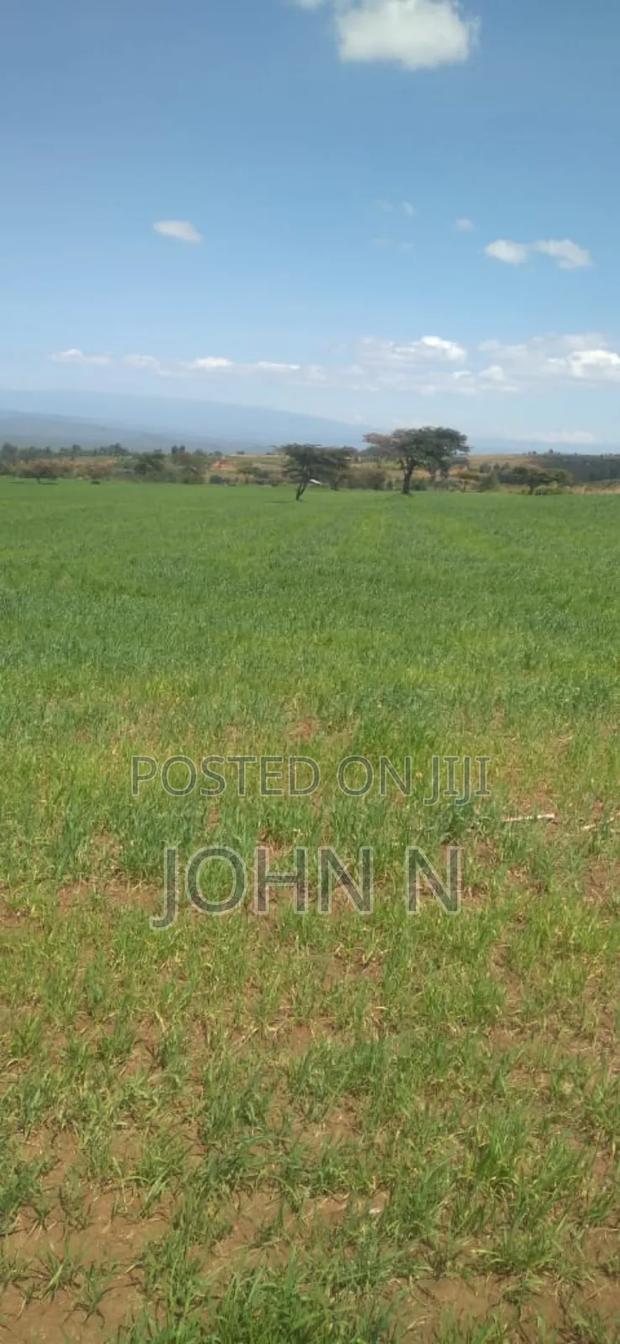 20 Acres, Each Going for Ksh. 2.3 Million