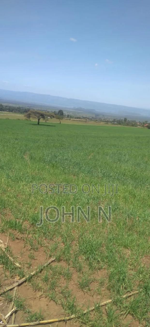 20 Acres, Each Going for Ksh. 2.3 Million - thumbnail 2