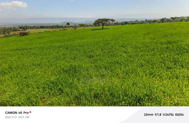 20 Acres, Each Going for Ksh. 2.3 Million - thumbnail 3