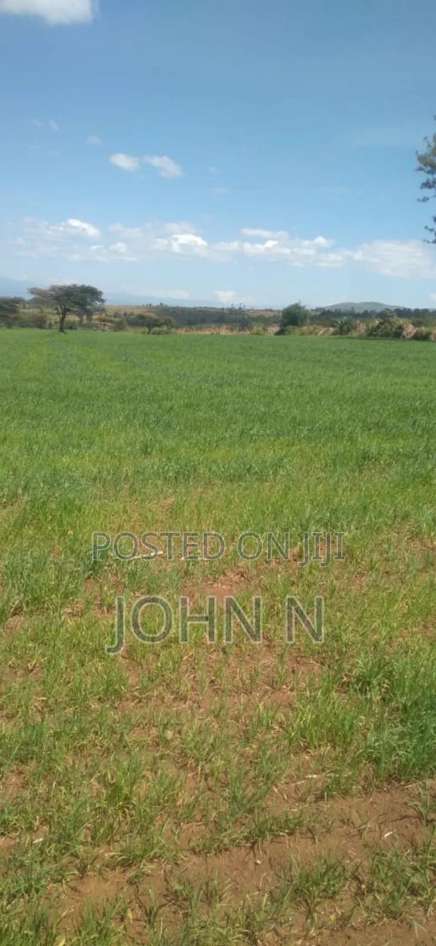 20 Acres, Each Going for Ksh. 2.3 Million - thumbnail 4