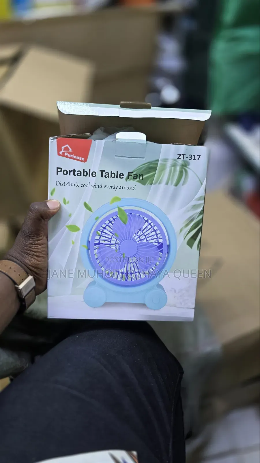 Portable Fan