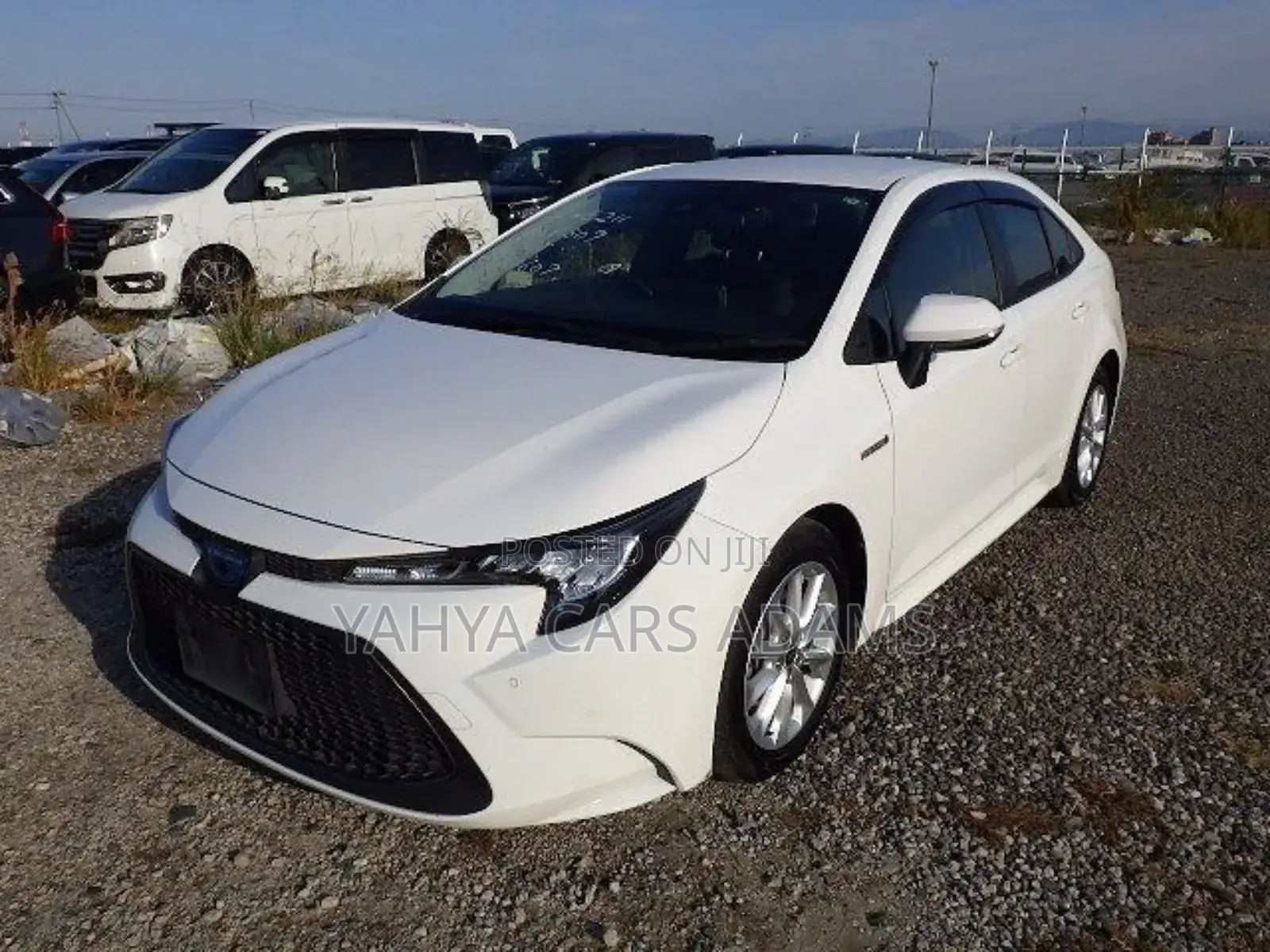 Toyota Corolla 2019 White