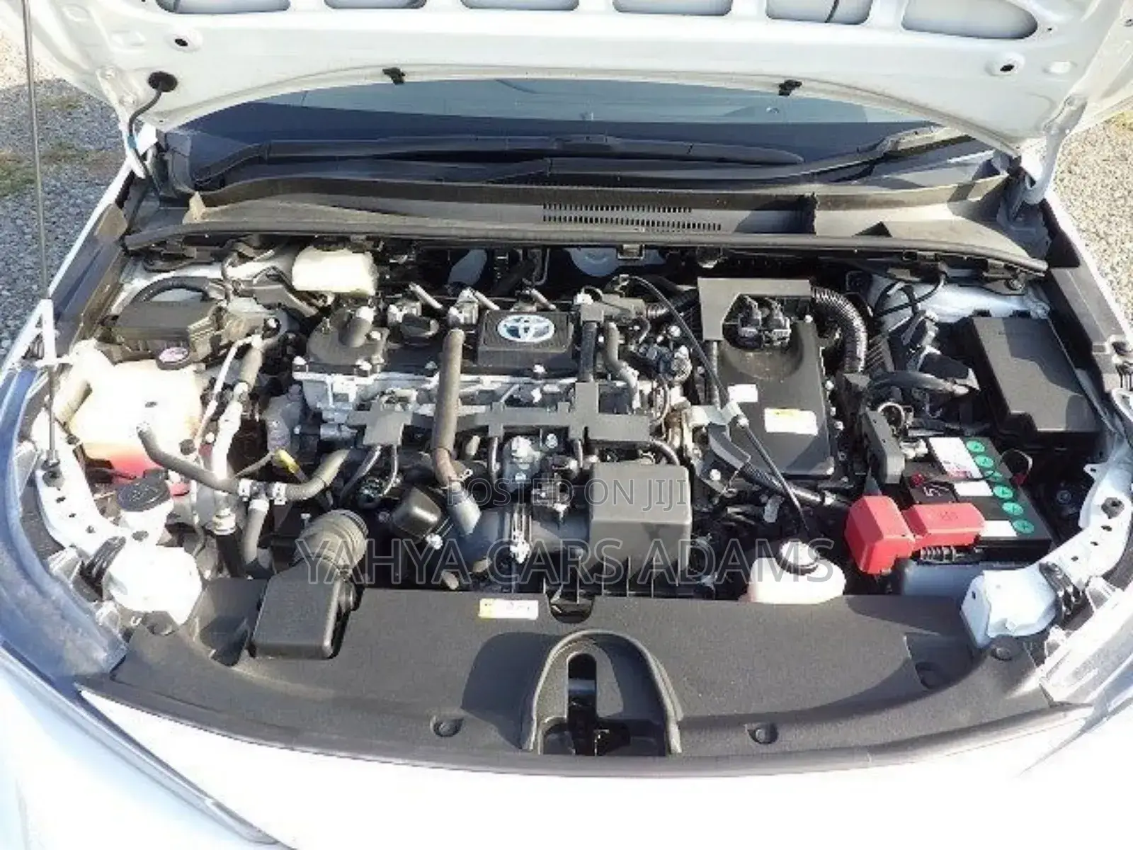 Toyota Corolla 2019 White