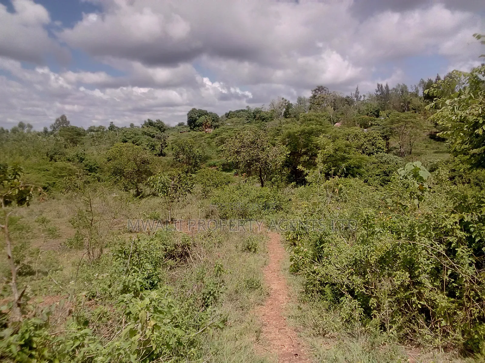 2 Acres Farm , Tungutu