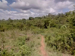 2 Acres Farm , Tungutu