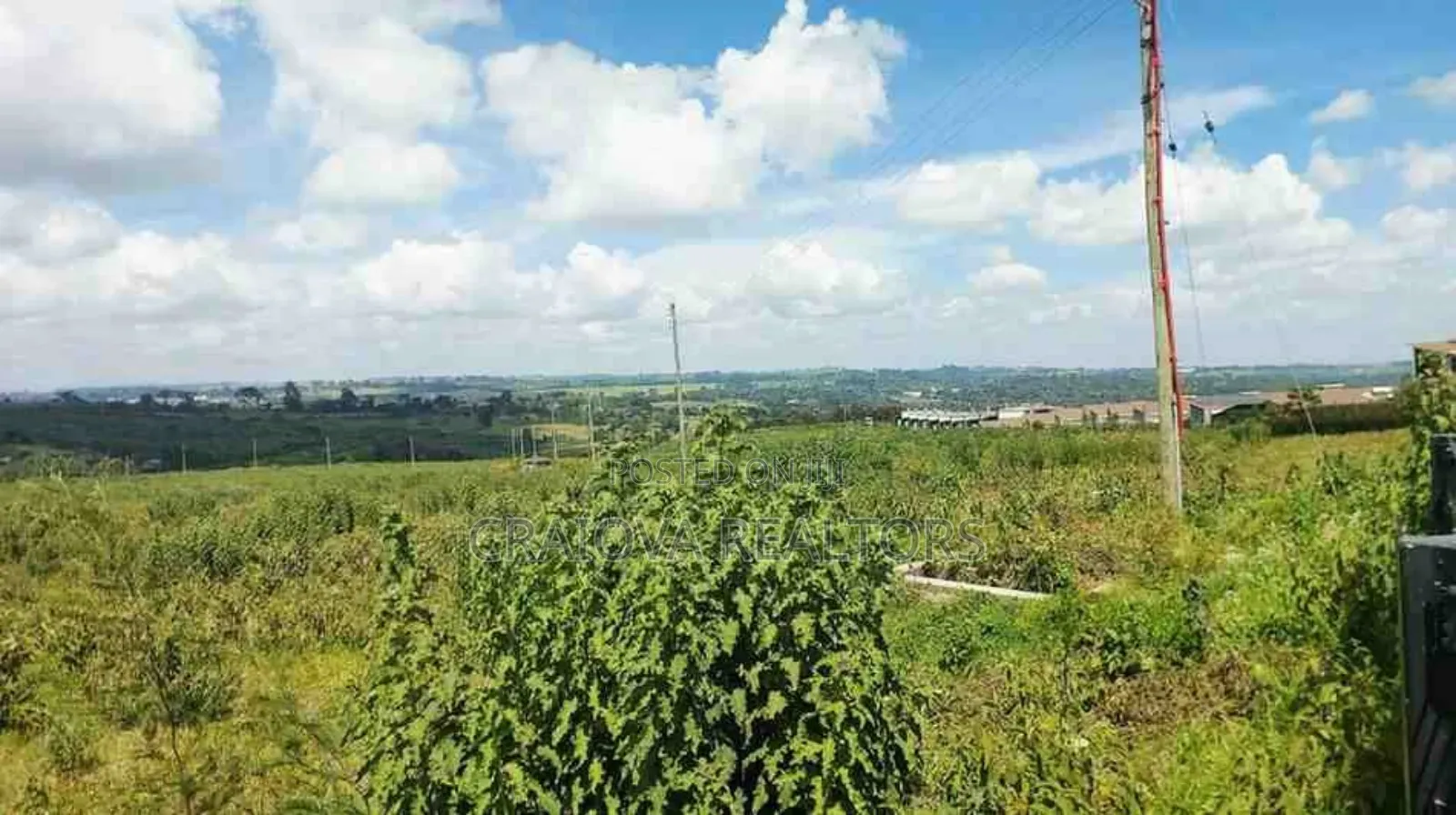 0.5 Acre Pieces of Land at Tilisi