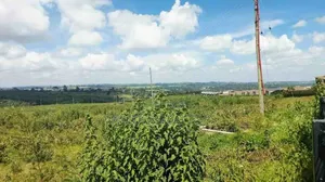 0.5 Acre Pieces of Land at Tilisi