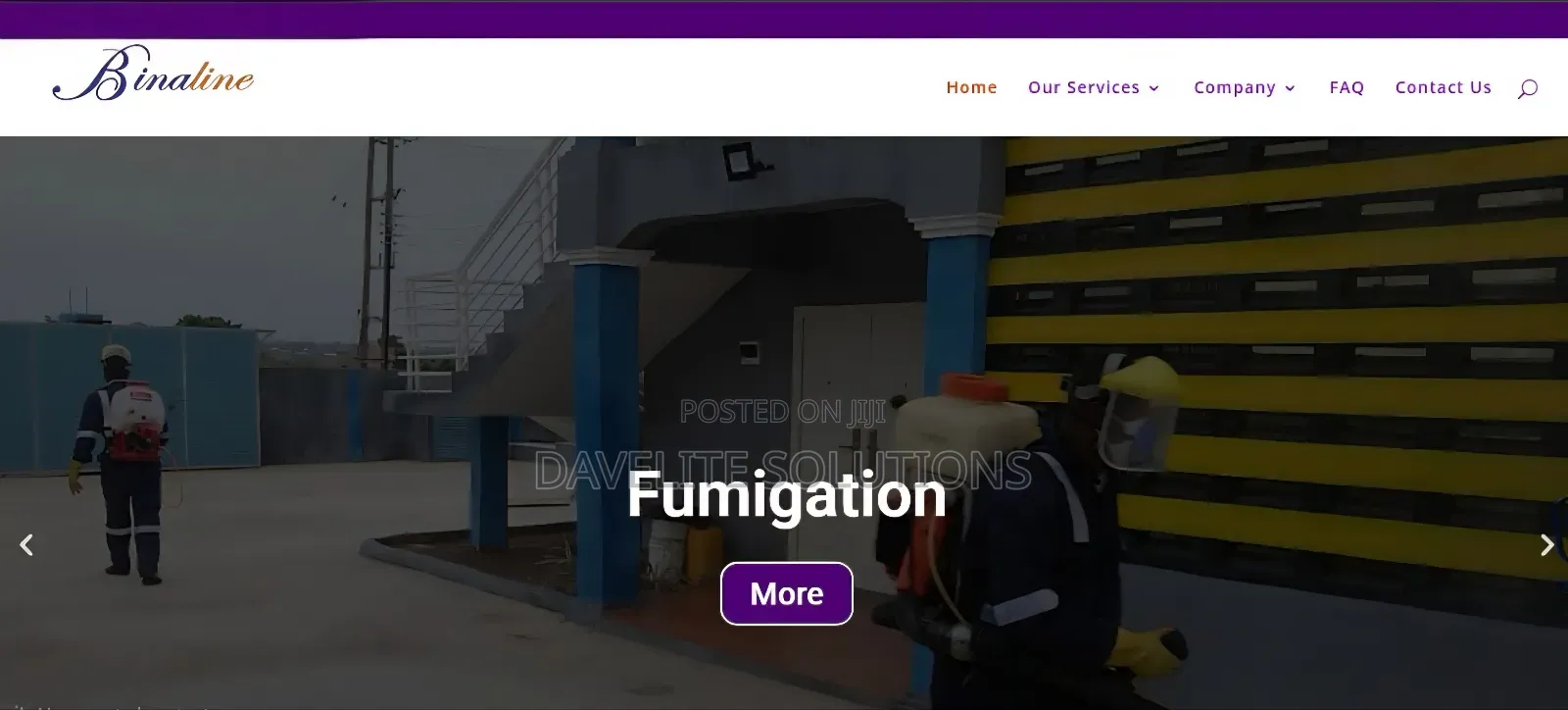 Simple Website Development For Startups (Domain And Hosting)