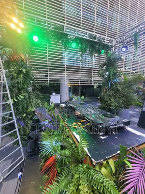 Proffesional Dj and P.A System