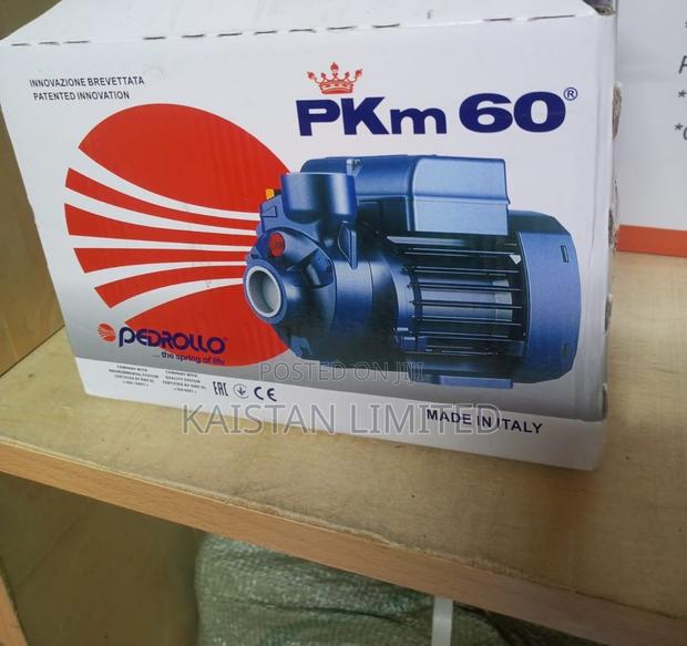 Pedrollo Electric Booster Pump 0.5hp / Booster Water Pump