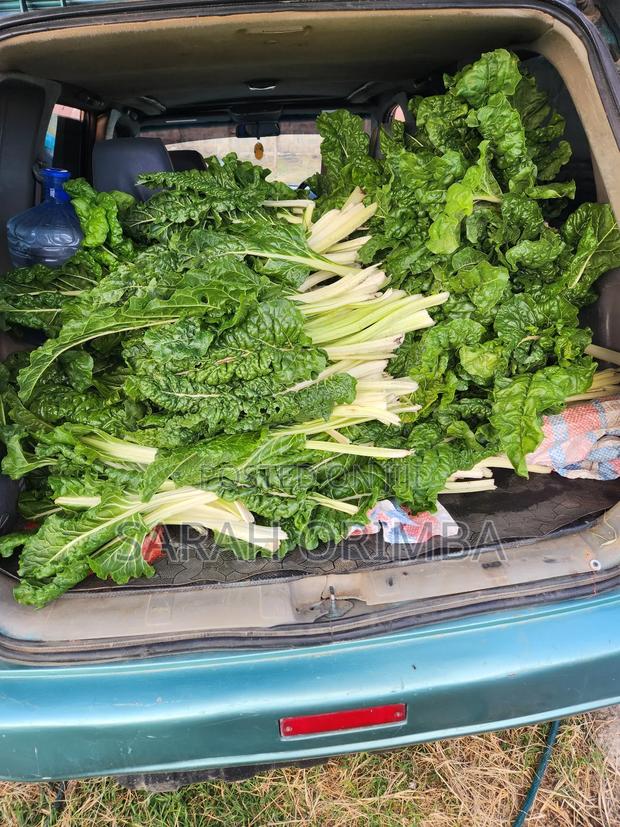 Vegetable for Sell - main view