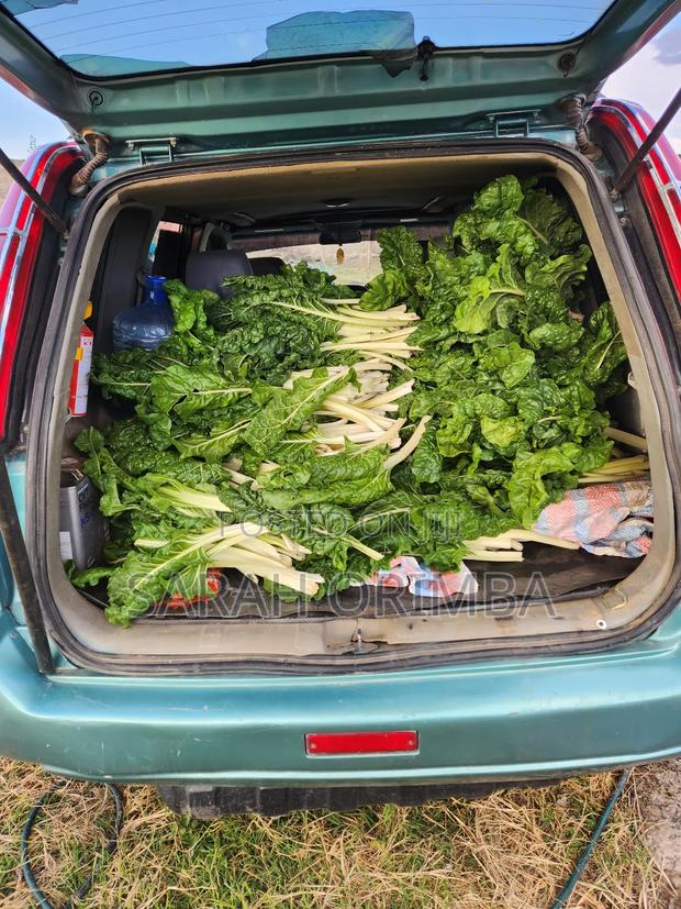 Vegetable for Sell - thumbnail 3