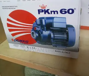 Pkm 60 Pedrollo Booster Pump 0.5hp / Elecctric Booster Pump