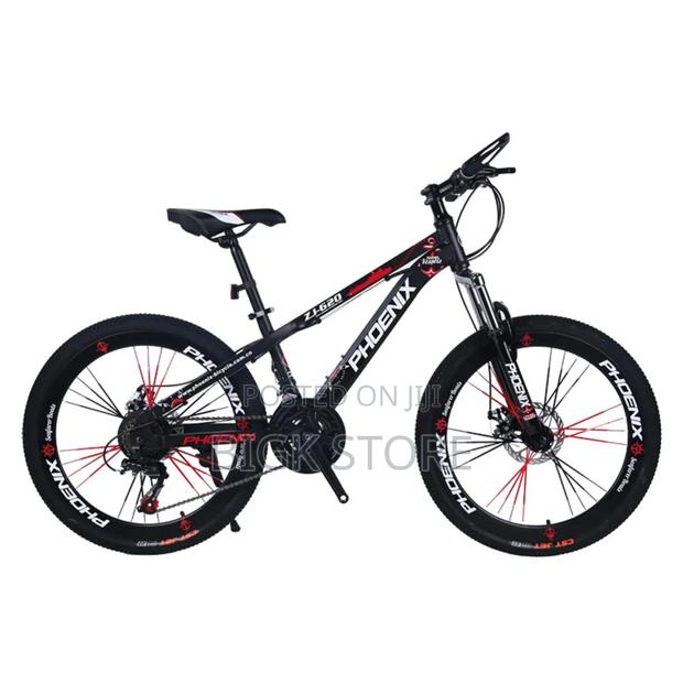 Unisex Mountain Bike Size 24