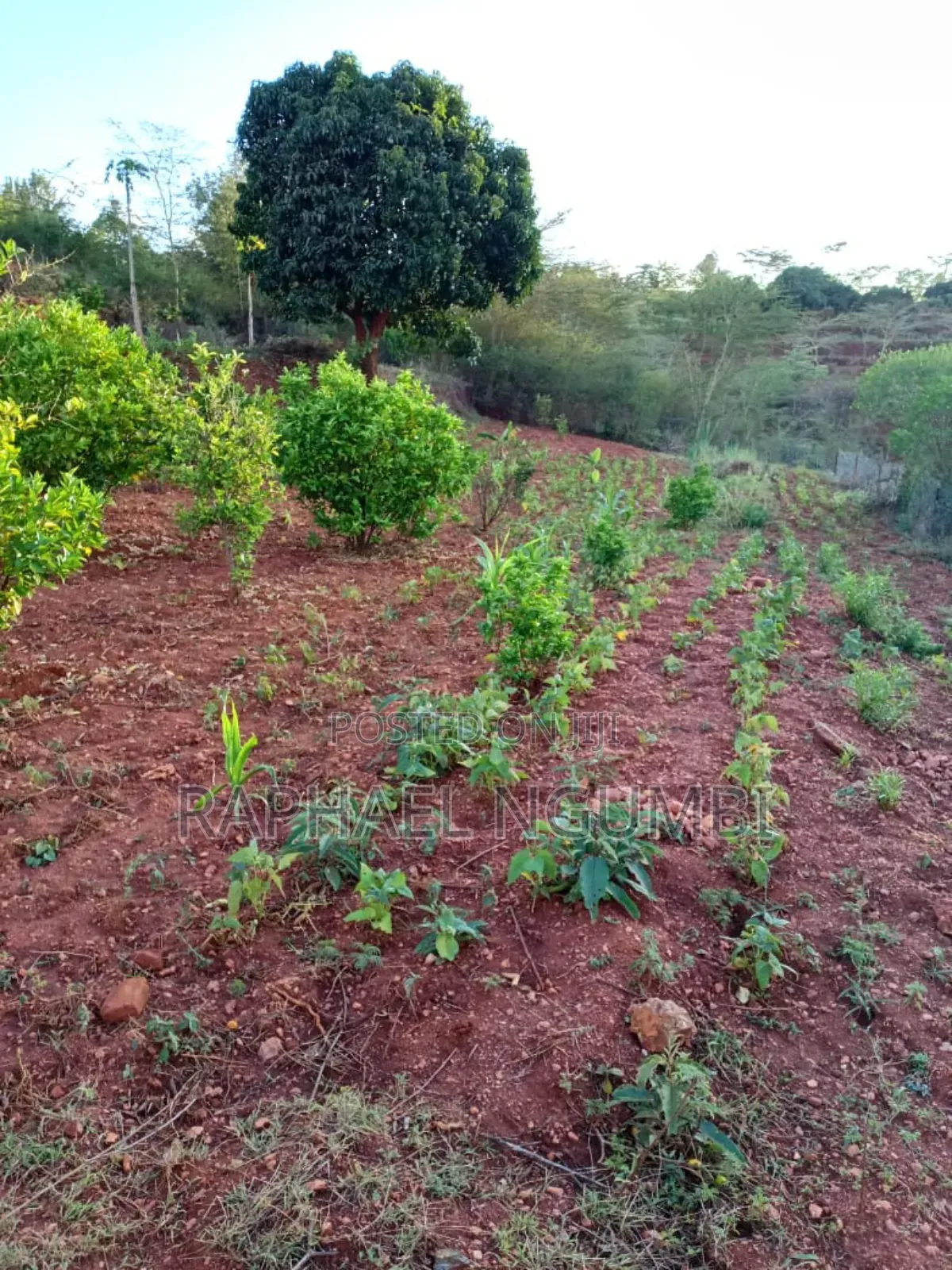 3bdrm House in Machakos Town for sale
