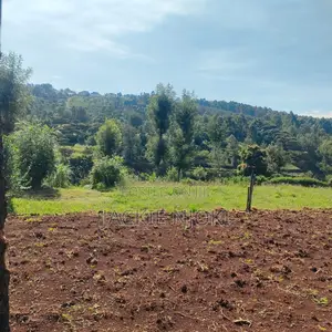 Land for Sale - Karen