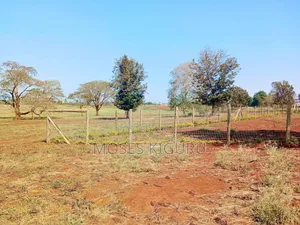 Kenyatta Road 1/4 Residential Plot.